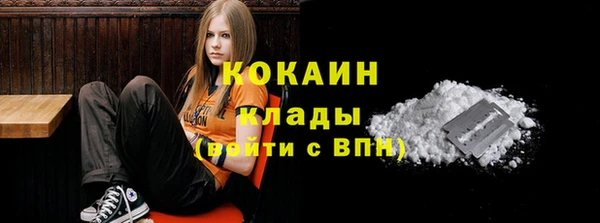 ГАЛЛЮЦИНОГЕННЫЕ ГРИБЫ Весьегонск