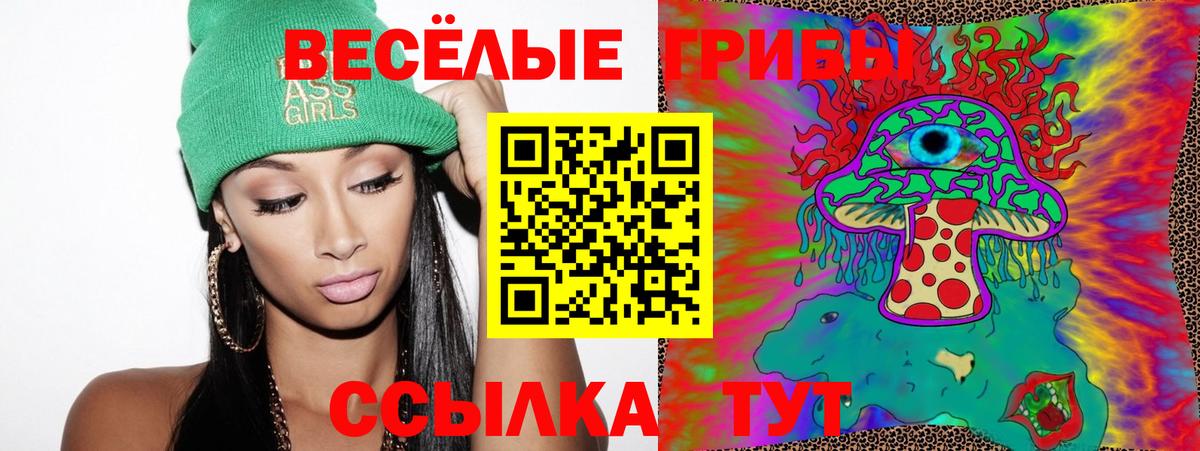 Галлюциногенные грибы Cubensis Зеленогорск