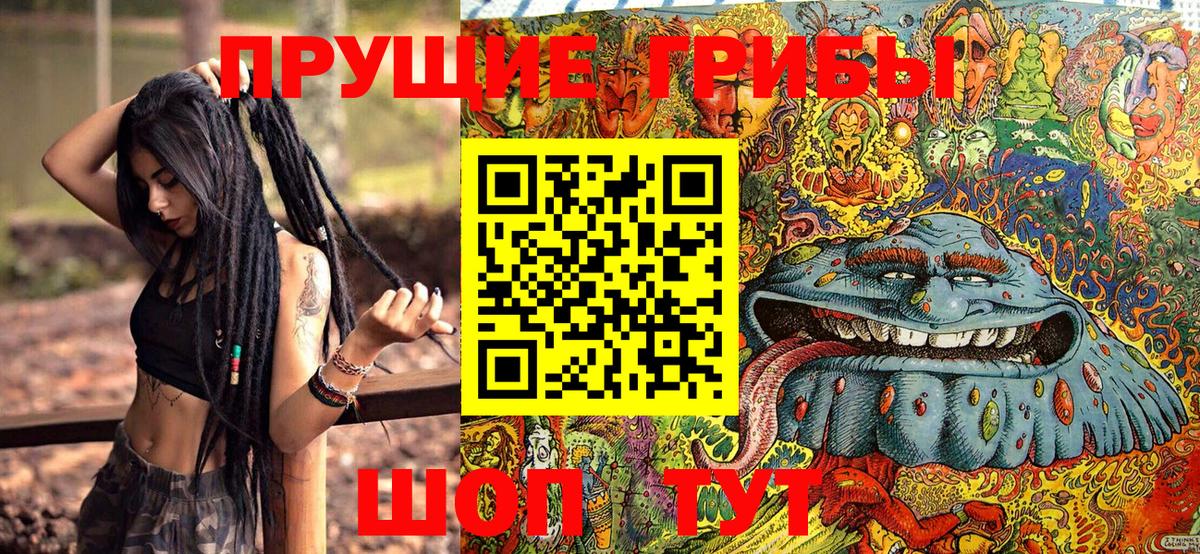 Псилоцибиновые грибы мухоморы  Вход с VPN  Зеленогорск 
