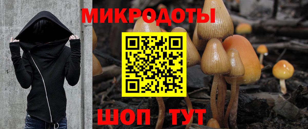 Псилоцибиновые грибы Magic Shrooms Зеленогорск