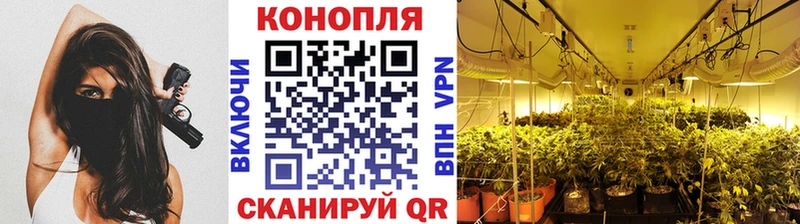 Конопля ГИДРОПОН  Зеленогорск 