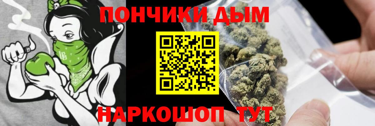 Шишки марихуана семена Зеленогорск